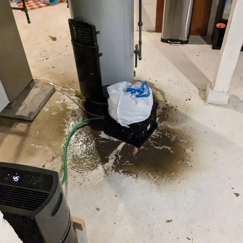 Sewage Backup Cleanup Service in Shaw Heights, CO